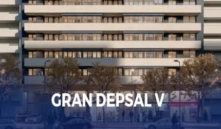 Gran Depsal V